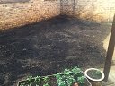 IMG-20160925-WA0005.jpg