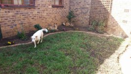 20161013_150503-640x360.jpg