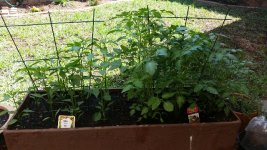 20161013_101808-640x360.jpg