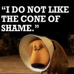I-do-not-like-the-cone-of-shame.jpeg