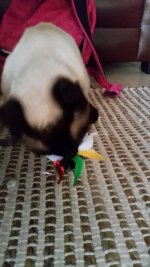 20161207_150046.jpg