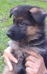 20160514_160802.jpg