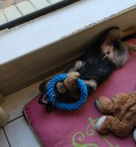 20160608_125655.jpg