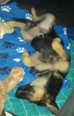 20160622_000206.jpg
