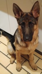 20160831_192357.jpg