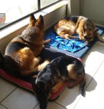 20160813_111524.jpg