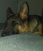 20160911_210953.jpg