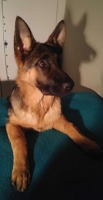 20160913_225922.jpg