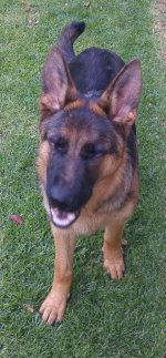 20161009_180151.jpg