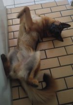 20170222_124518.jpg