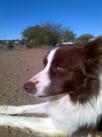 IMG-20160617-05875.jpg