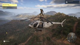 Wing Walker.jpg