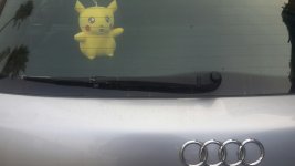 pika.jpg