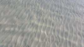 IMG-20170418-WA0037.jpg