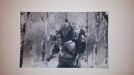 ds2.jpg