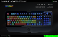 Counter-Strike Global Offensive_Keystrokes.png