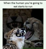 a-little-lowbrow-humor-is-just-the-ticket-32-photos-6.jpg
