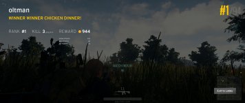 Chicken dinner.jpg