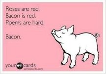 bacon-funny-pictures.jpg bacon-funny-pictures.jpg
