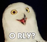 orly_owl.jpg orly_owl.jpg
