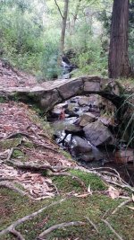IMG-20170927-WA0015.jpg IMG-20170927-WA0015.jpg