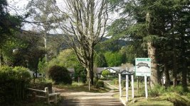IMG-20170927-WA0062.jpg IMG-20170927-WA0062.jpg