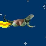 tumblr_mbwwj6mWzM1rsbqsdo1_400.jpg