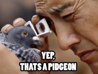 a-funny-captions-29.jpg