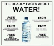 everything-is-true-9.jpg