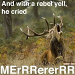 funny-captions-25.jpg