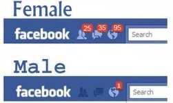 mffacebook.jpg