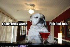 funny-captions10.jpg