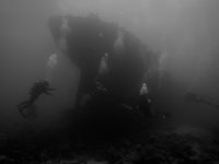 IMG_0819.jpg