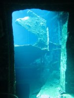 IMG_1042.jpg