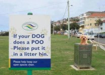 Poo Dog.jpg