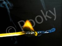 IMG_13971.jpg
