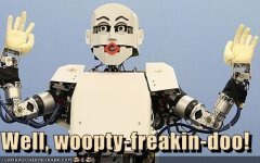 whoopty doo.jpg