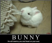 bunny.jpg