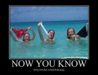 NOW-YOU-KNOW....jpg