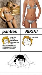 PANTIES-VS-BIKINI....jpg