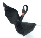 Animal-Origami-Black-Swan.jpg