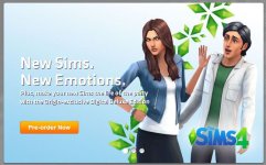 SIMS.JPG