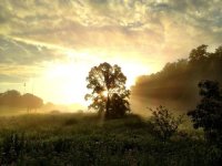 some-moments-are-splendidly-beautiful-02.jpg