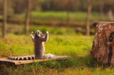 some-moments-are-splendidly-beautiful-10.jpg