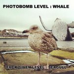 funny-captions-11 (1).jpg