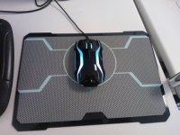 Mouse.jpg