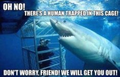 funny-captions-14.jpg