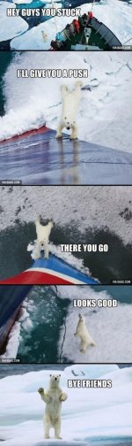 Ice+bear_d3fe8b_4807046.jpg