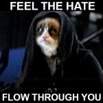 grumpy-cat-42-starwars.jpg