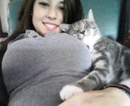 cats-that-are-funny.jpg